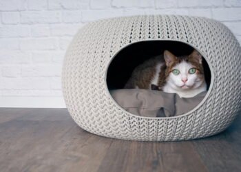 Caminha artesanal de fio de malha transforma o cantinho do seu gato
