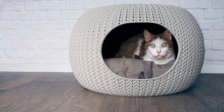 Caminha artesanal de fio de malha transforma o cantinho do seu gato