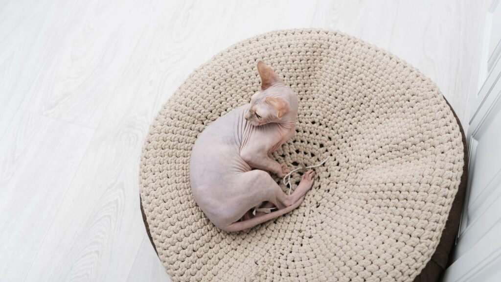 Caminha artesanal de fio de malha transforma o cantinho do seu gato