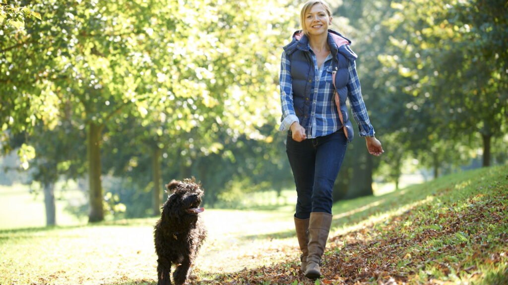 O que acontece com seu corpo quando você caminha todos os dias
