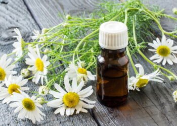 Óleos essenciais que reduzem o estresse e ansiedade antes de dormir