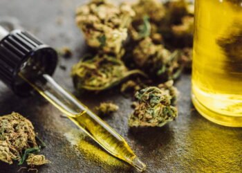 Cientistas acreditam que o canabigerol é alternativa promissora contra dor