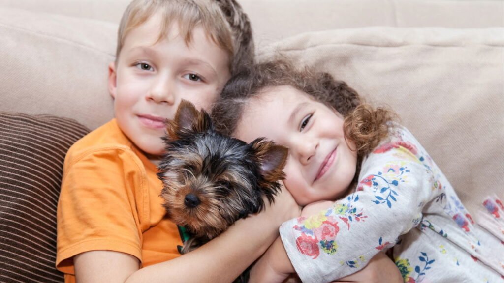 O que pode acontecer se você ficar em contato com seu animal de estimação?