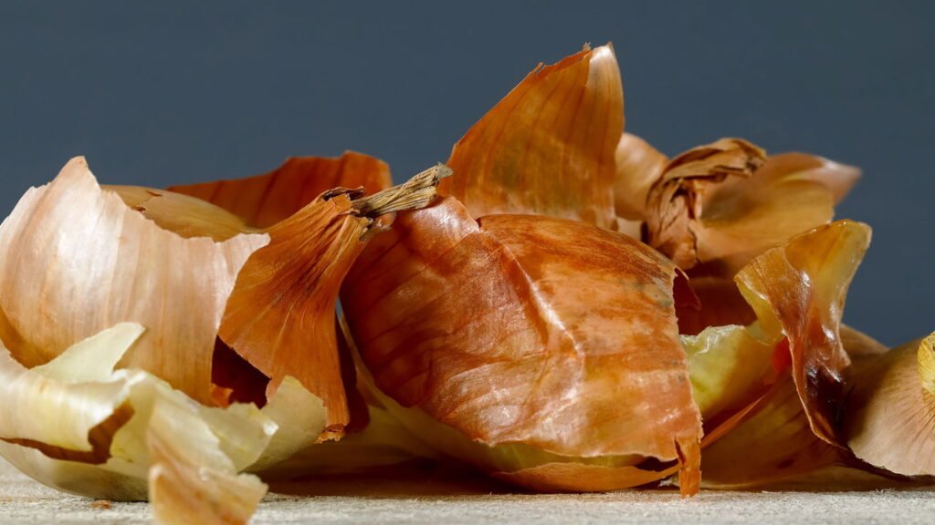 Para que servem as cascas de cebola e por que elas são consideradas um tesouro?