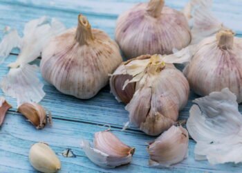 Cascas de alho da cozinha viram adubo natural que fortalece plantas e repele pragas
