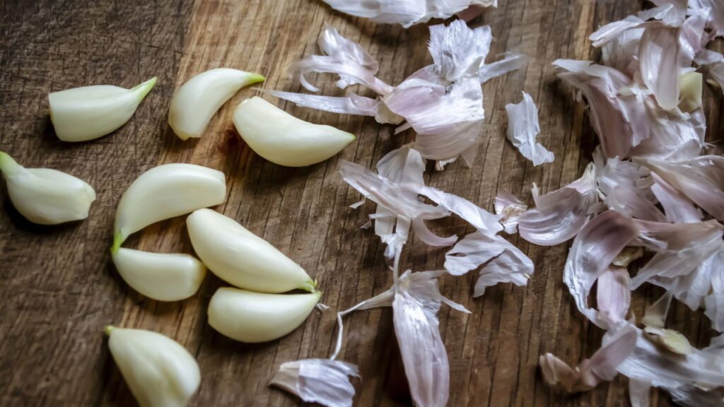 Cascas de alho da cozinha viram adubo natural que fortalece plantas e repele pragas