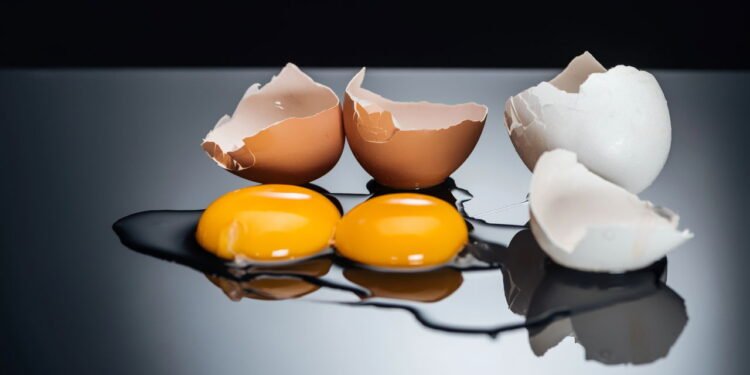 O erro na hora de descartar cascas de ovo que pode estar te fazendo perder dinheiro