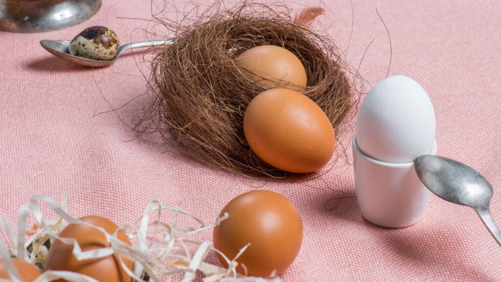 O erro na hora de descartar cascas de ovo que pode estar te fazendo perder dinheiro