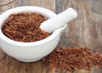 A planta com propriedades curativas que protege contra inflamações e infecções