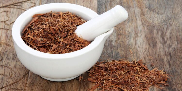 A planta com propriedades curativas que protege contra inflamações e infecções