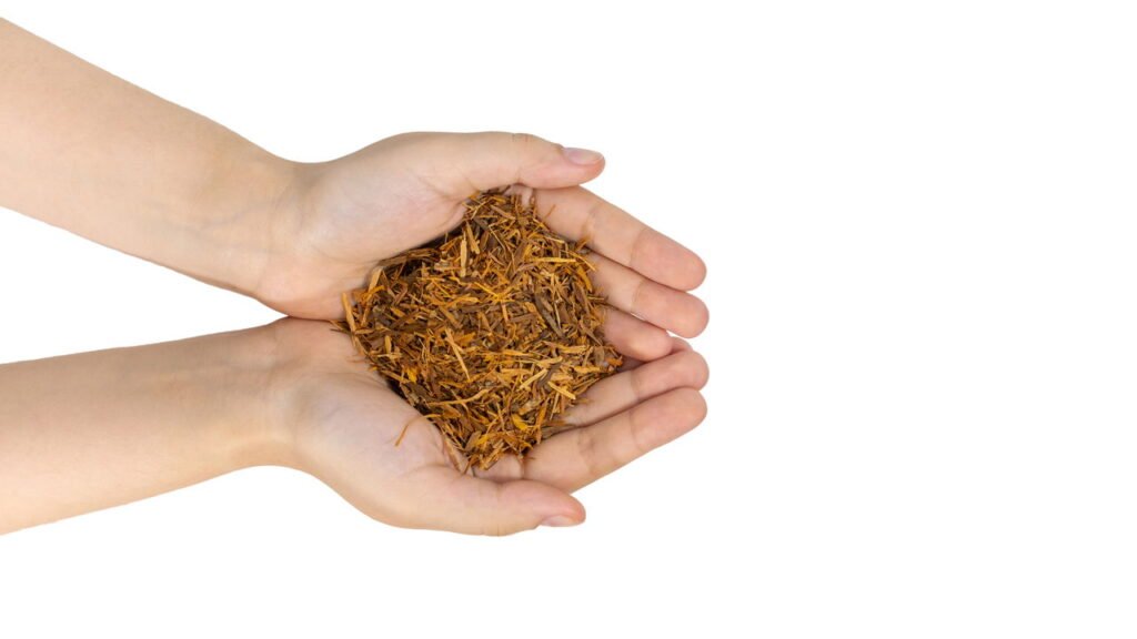 A planta com propriedades curativas que protege contra inflamações e infecções