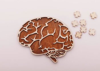 A conexão do seu cérebro com o intestino que você não conhecia