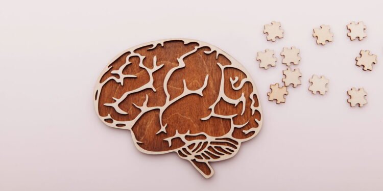 A conexão do seu cérebro com o intestino que você não conhecia