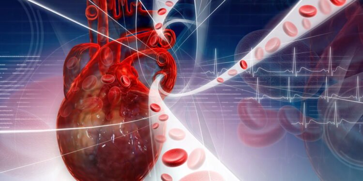 Mexa-se por 2 minutos e sinta a diferença na circulação do seu corpo igual a nunca antes