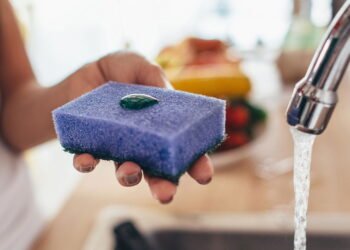 Erros ao higienizar a esponja de cozinha — e como isso espalha bactérias