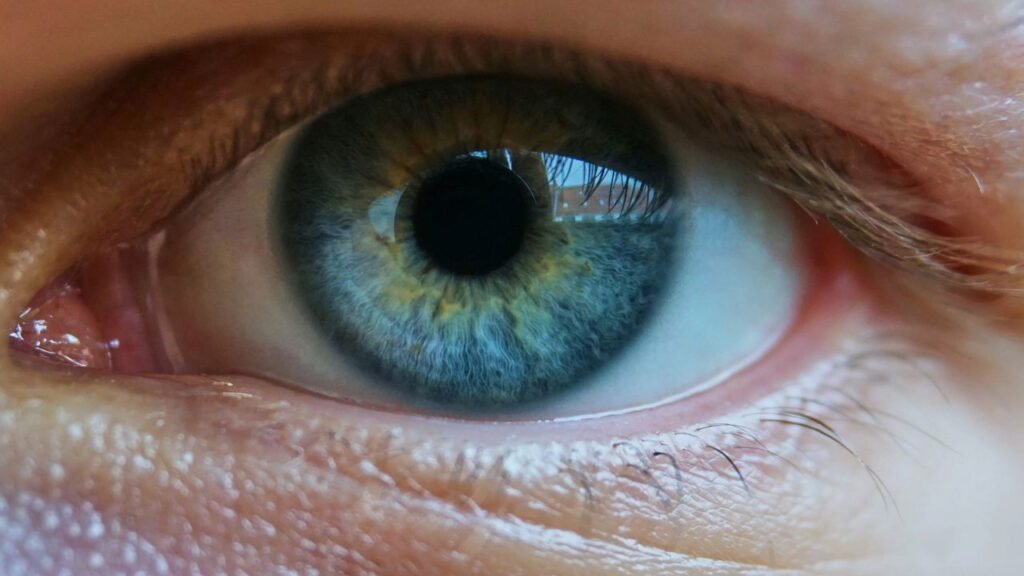 Seus olhos escondem segredos que você nunca imaginou