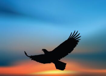 Esse é o animal mais veloz do mundo, e não é o que você está pensando