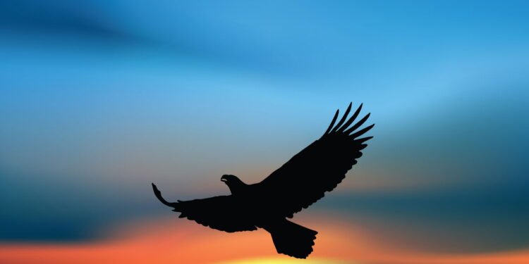 Esse é o animal mais veloz do mundo, e não é o que você está pensando