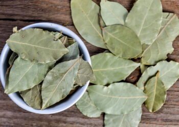 Onde colocar um pote de folhas de louro para atrair dinheiro, segundo o Feng Shui