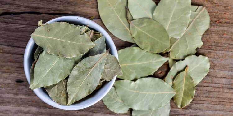 Onde colocar um pote de folhas de louro para atrair dinheiro, segundo o Feng Shui