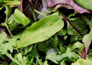 5 Benefícios surpreendentes de comer Folhas Verdes todos os dias