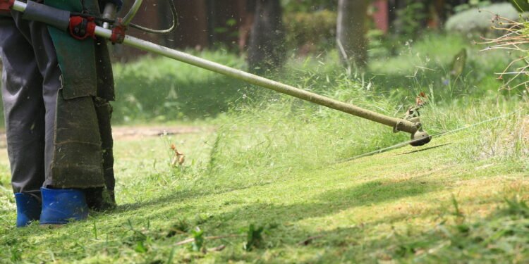 Grama - Créditos: depositphotos.com / NayYai