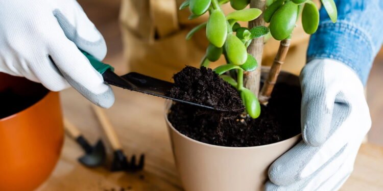 Plantando // Créditos: depositphotos.com / VitalikRadko