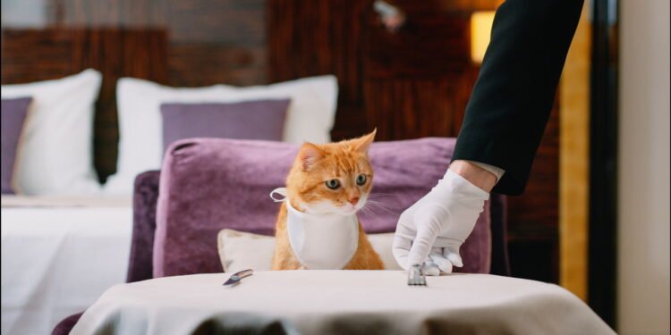 Hotel para pets - Créditos: depositphotos.com / Deklofenak