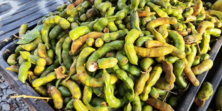 Contribui para a saúde do fígado, segundo estudos recentes - Créditos: depositphotos.com / sweemingyoung