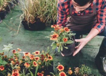 Você pode estar matando suas plantas sem perceber com essas combinações