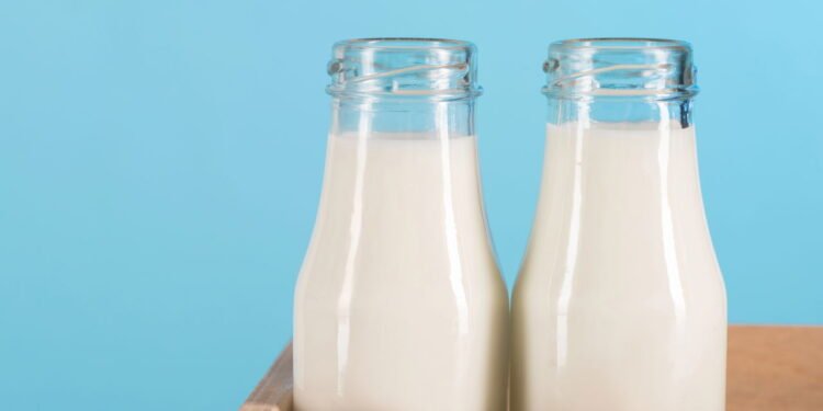 O impacto de substituir leite de vaca por vegetal por 30 dias