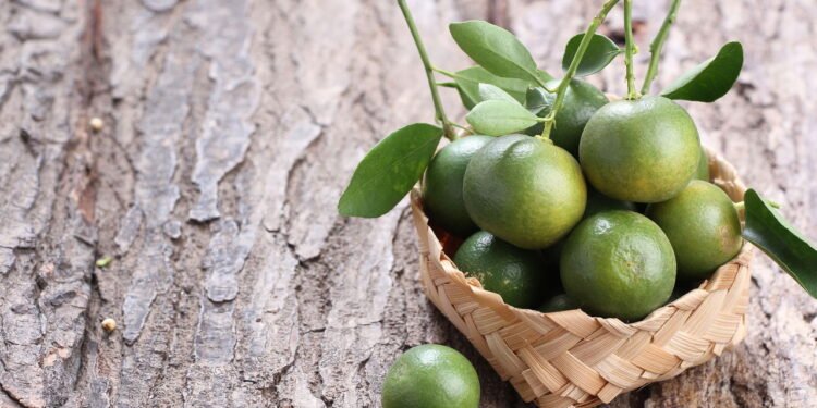 O jeito mais fácil e barato de plantar limão em casa