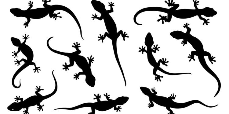 Largatixas - Créditos: depositphotos.com / yyanng