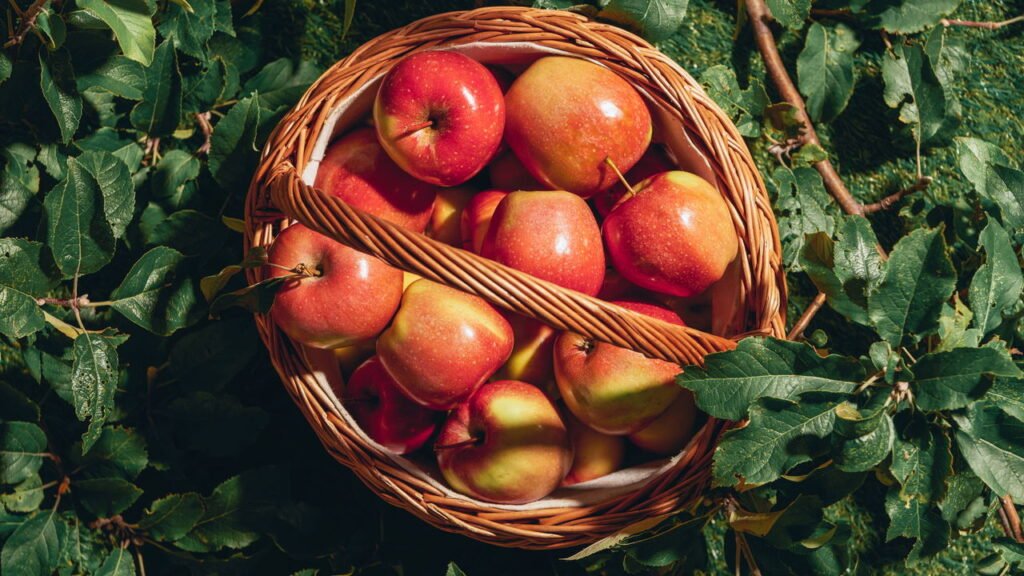 O que acontece com seu corpo ao consumir maçã com casca todos os dias
