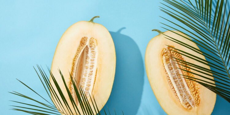 Melão - Créditos: depositphotos.com / AntonMatyukha