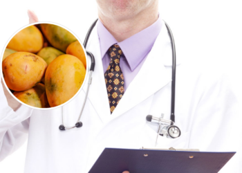 O que acontece com seu corpo quando você come mangas todos os dias