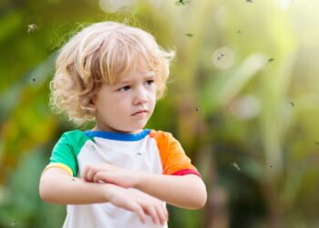 6 plantas repelentes para espantar mosquitos em casa