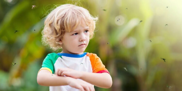 Mosquitos - Créditos: depositphotos.com / FamVeldman