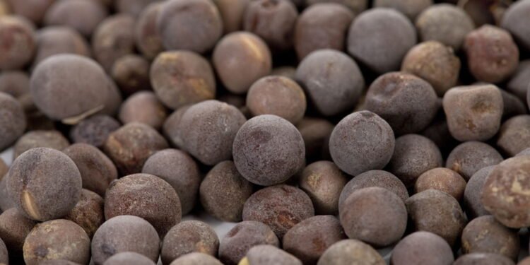 Propriedade antioxidante através dos glicosinolatos e compostos fenólicos - Créditos: depositphotos.com / kozzi2