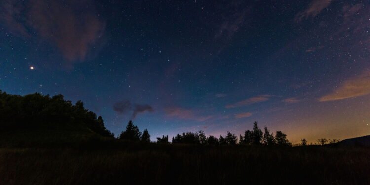 7 hábitos noturnos de pessoas que são mais felizes que as demais, diz psicologia