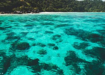 A verdade por trás da anomalia que faz a gravidade sumir no fundo do mar
