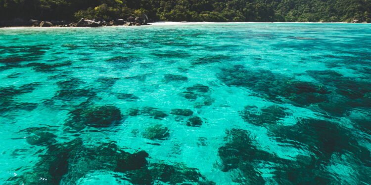 A verdade por trás da anomalia que faz a gravidade sumir no fundo do mar