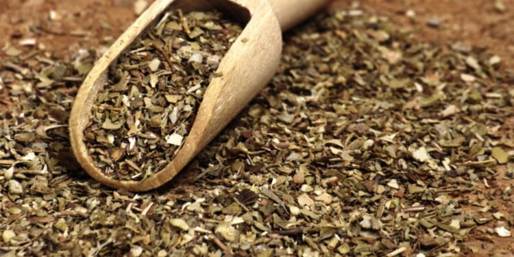 5 efeitos do consumo exagerado de orégano que você deve evitar