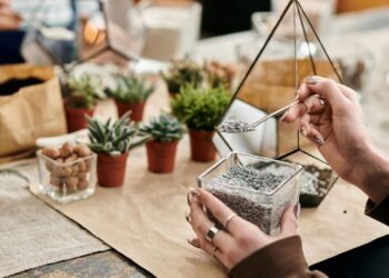 Por que muitas pessoas colocam pedras em vasos e qual a função delas