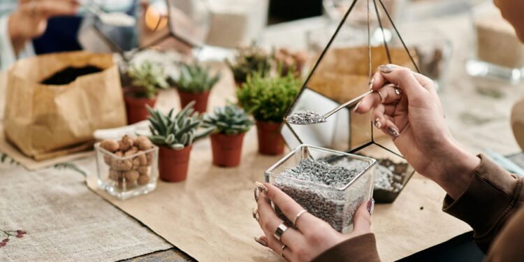 Por que muitas pessoas colocam pedras em vasos e qual a função delas