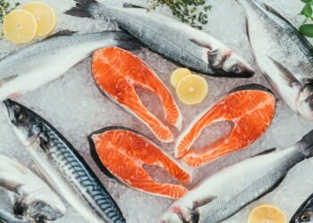 5 peixes seguros e 3 que devem ser evitados na alimentação diária