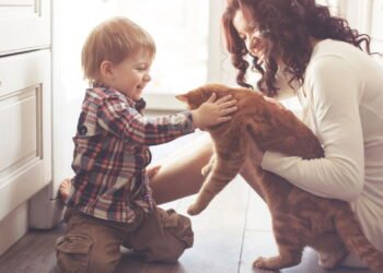 O segredo para um pet feliz ao receber um novo integrante na família