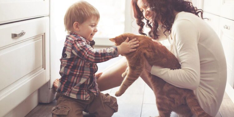 O segredo para um pet feliz ao receber um novo integrante na família
