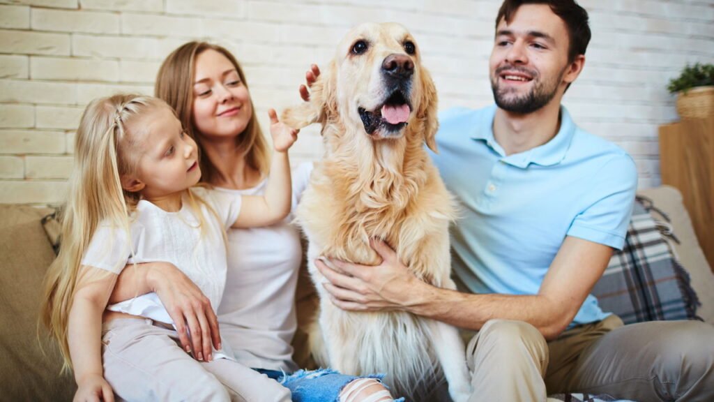 O segredo para um pet feliz ao receber um novo integrante na família