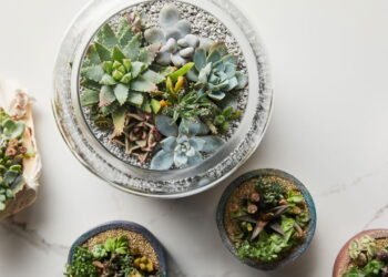 Essas pedras parecem decorativas mas fortalecem as plantas de verdade